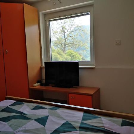 Apartment Zadraga Толмин Экстерьер фото
